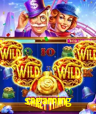 Desvendando o Mundo dos Jogos Virtuais na sagaming