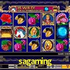 sagaming Brasília - VIP Program